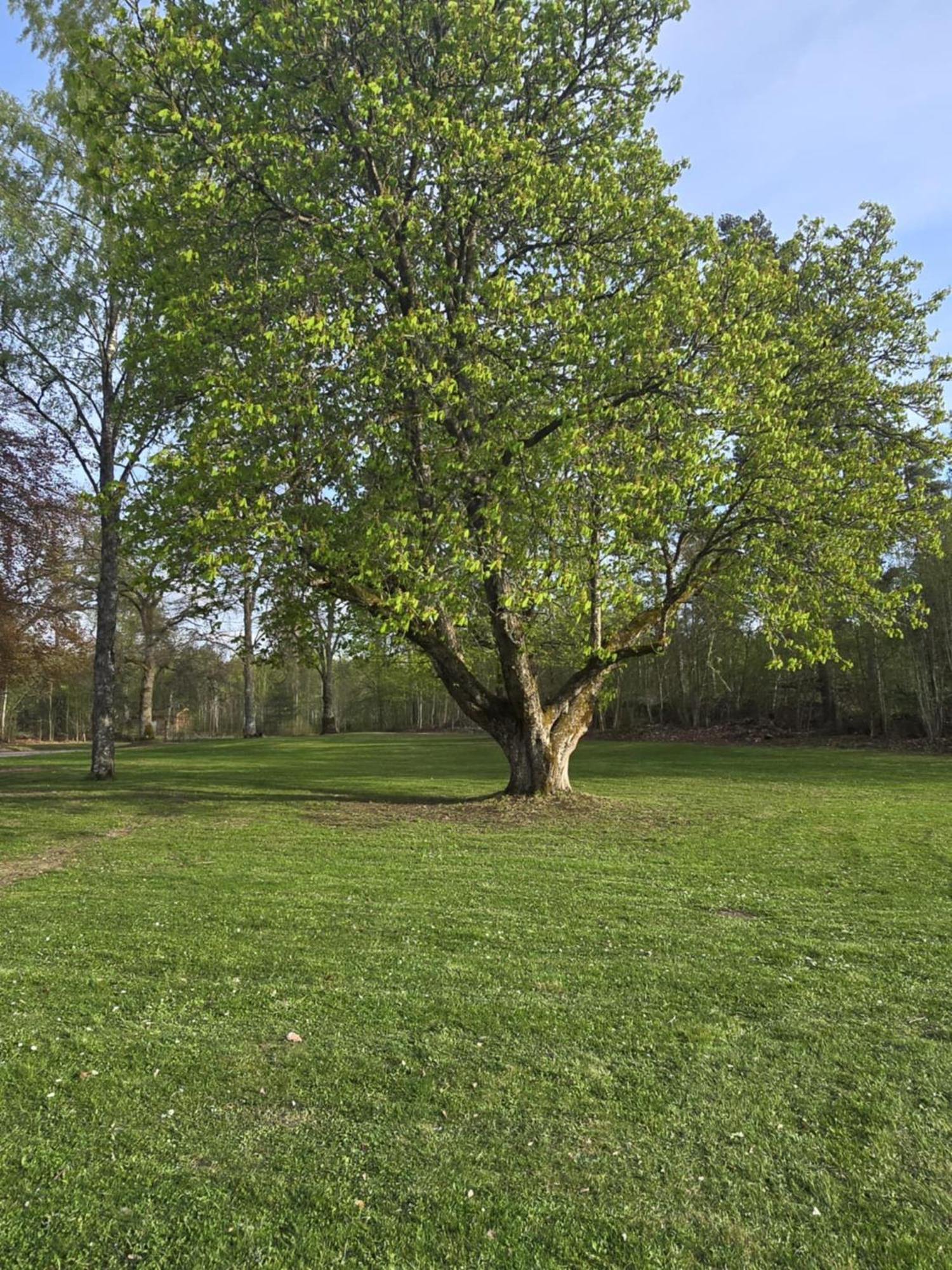 Stora Ekeberg Vandrarhem Axvall Bagian luar foto